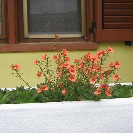Apartment Meridiana