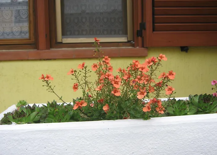 Apartamento Meridiana